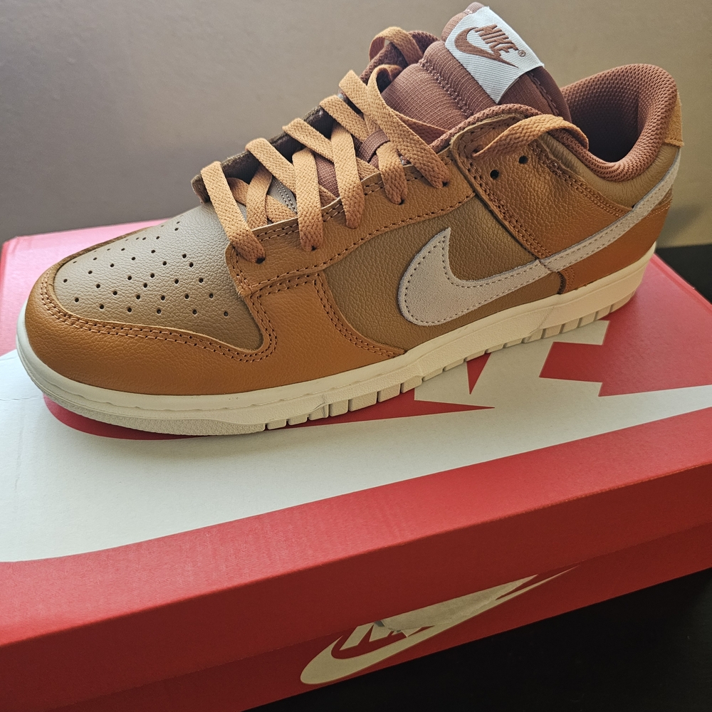 Nike Men's Dunk Low Retro SE